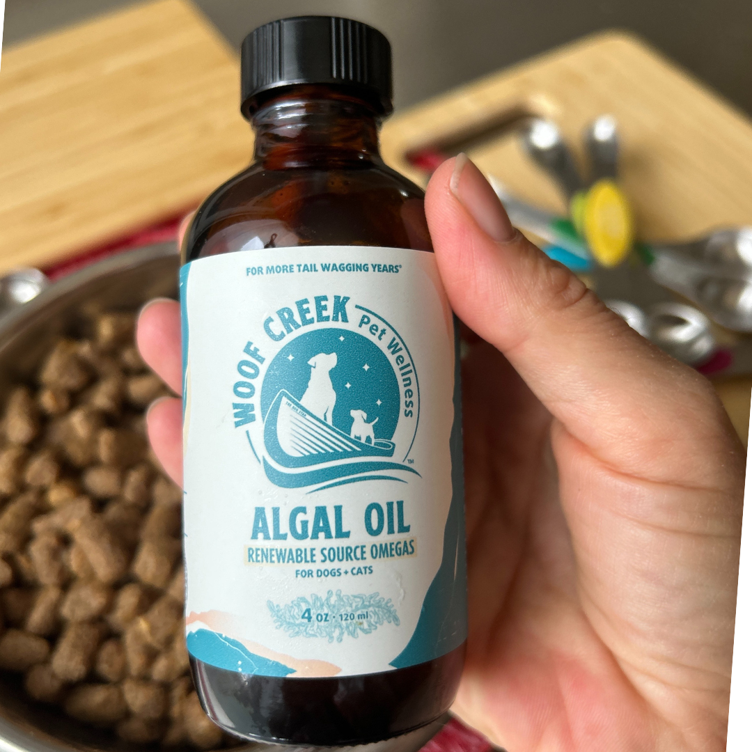 Algal Omega-3 Plant-Based Oil Topper | 4floz Glass Bottle for Dogs + Cats
