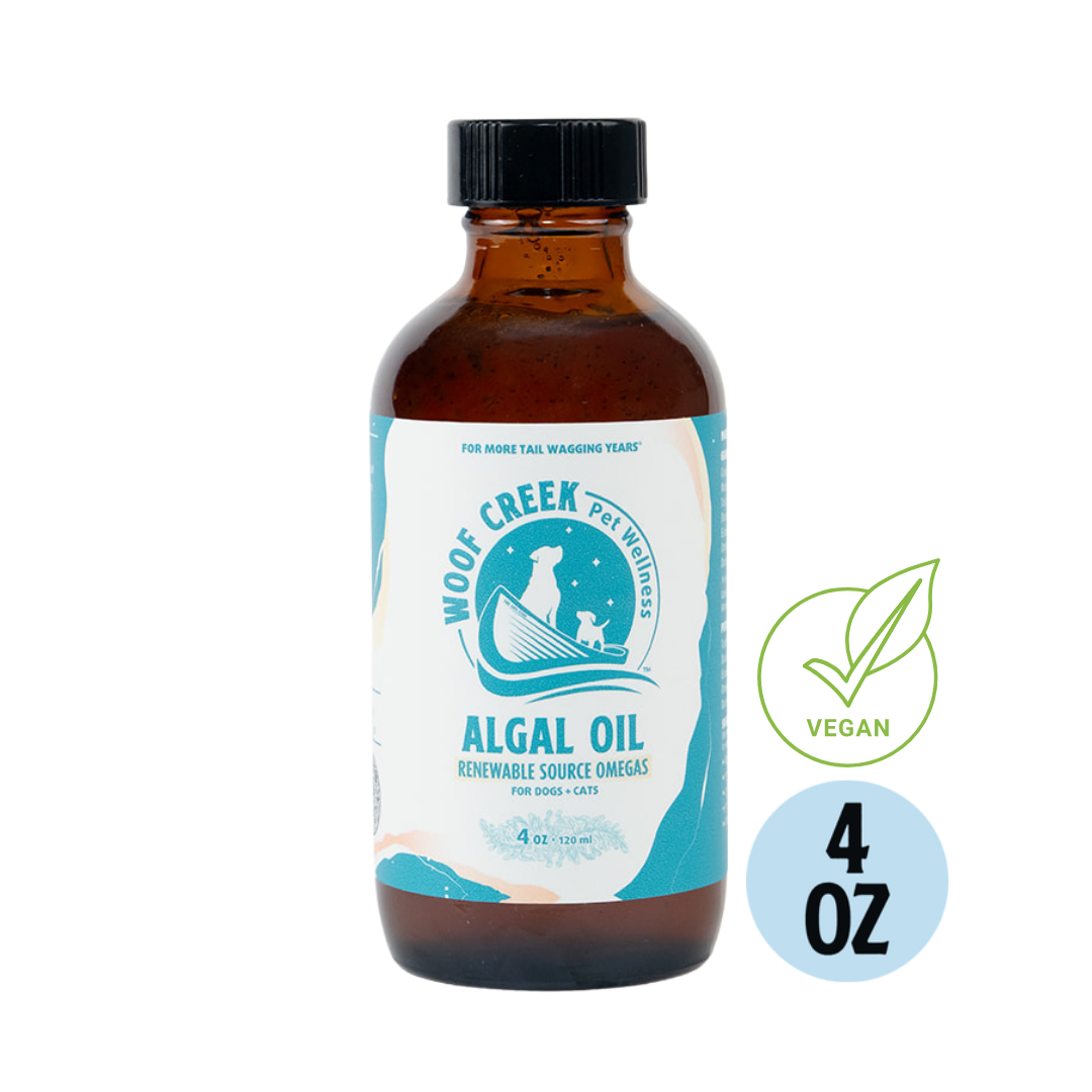 Algal Omega-3 Plant-Based Oil Topper | 4floz Glass Bottle for Dogs + Cats