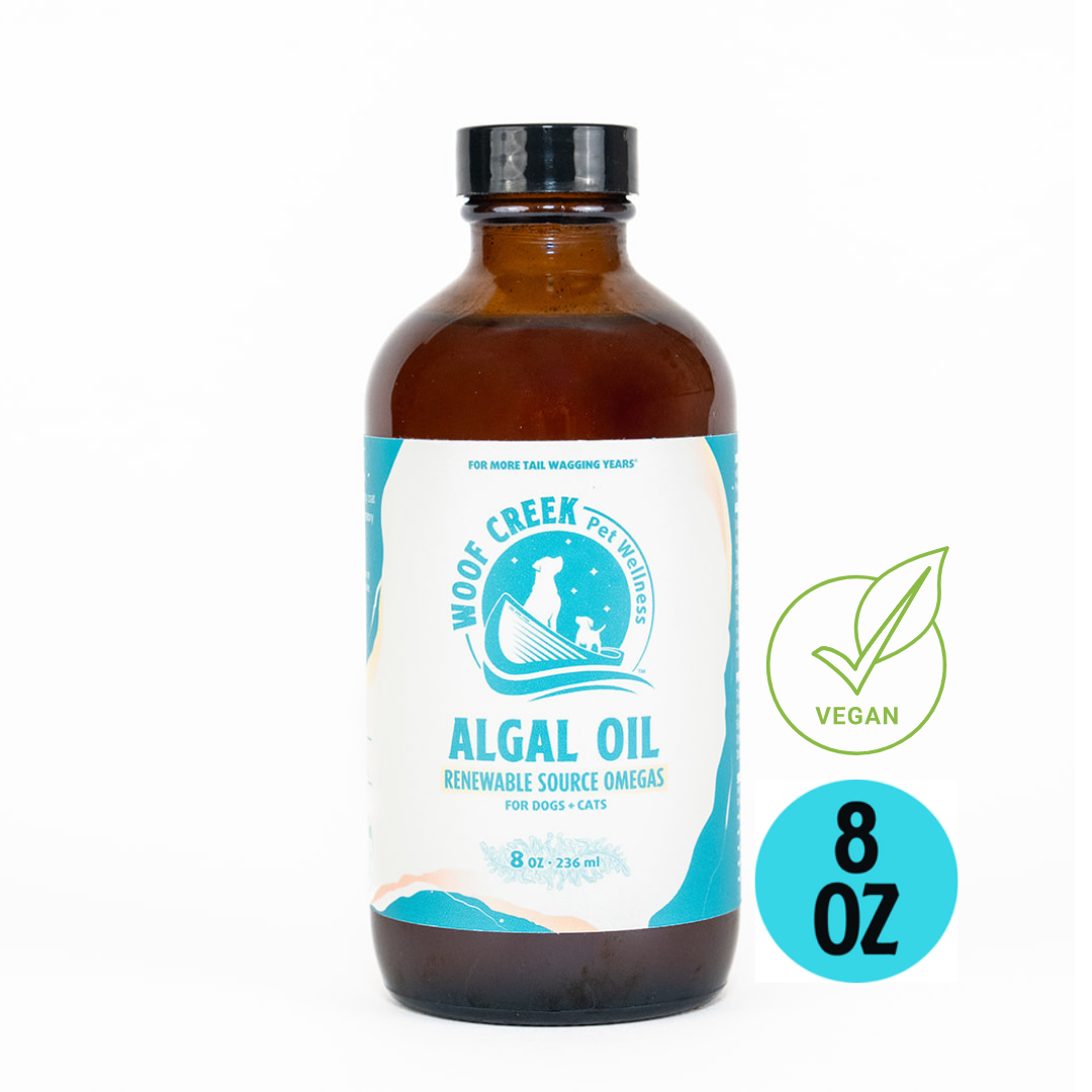 Algal Omega-3 Plant-Based Oil | 8floz Glass Bottle for Dogs + Cats