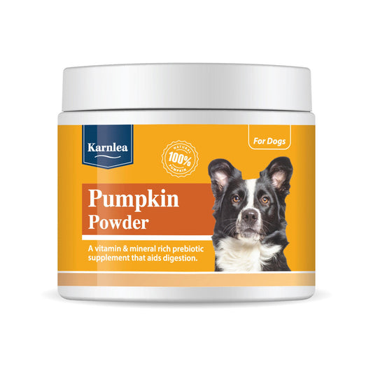 Pumpkin Powder Topper - 7 oz
