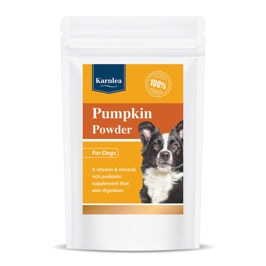 Pumpkin Powder Topper - 3.5 oz (Pouch)