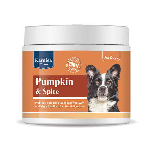 Pumpkin & Spice Powder Topper - 7 oz