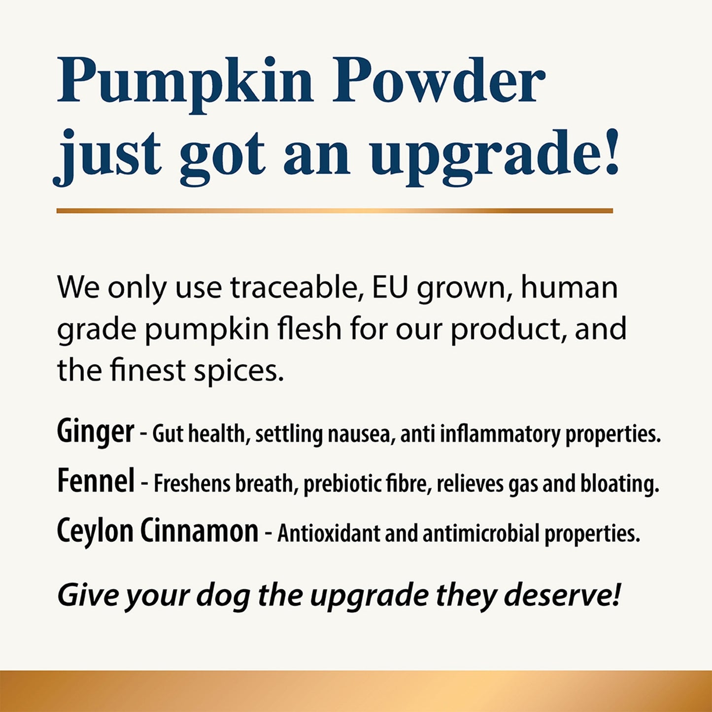 Pumpkin & Spice Powder Topper - 7 oz