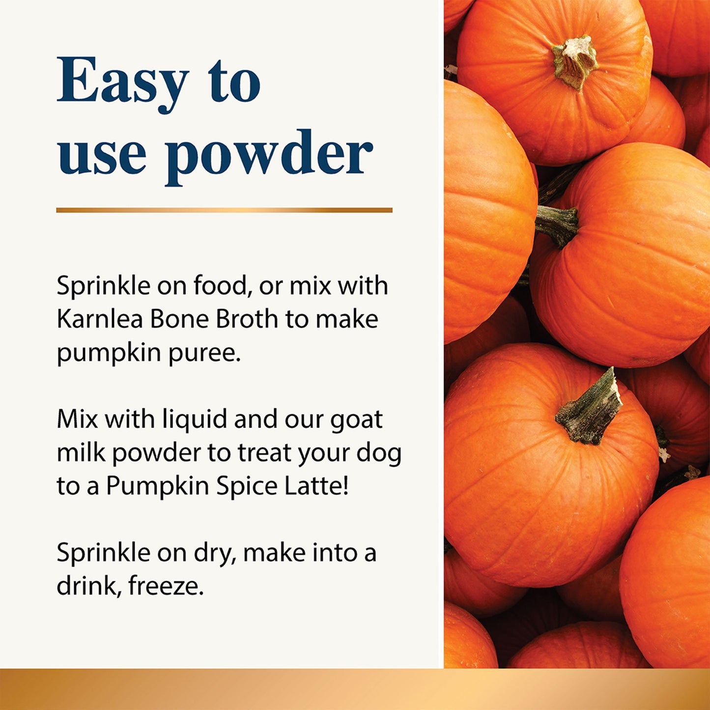 Pumpkin & Spice Powder Topper - 7 oz