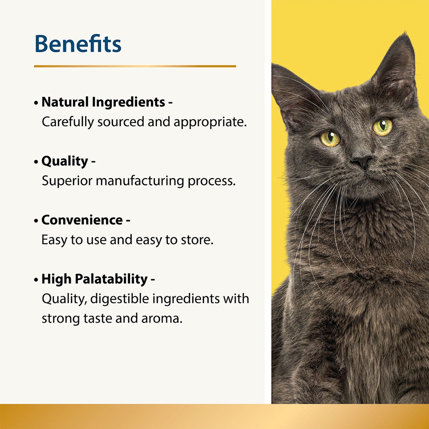 Beauty - Skin & Coat for Cats