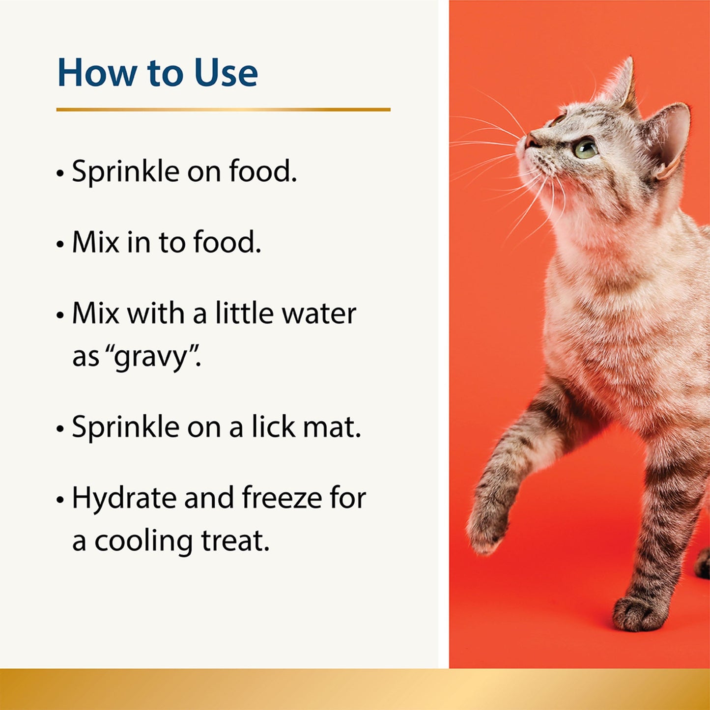 Beauty - Skin & Coat for Cats