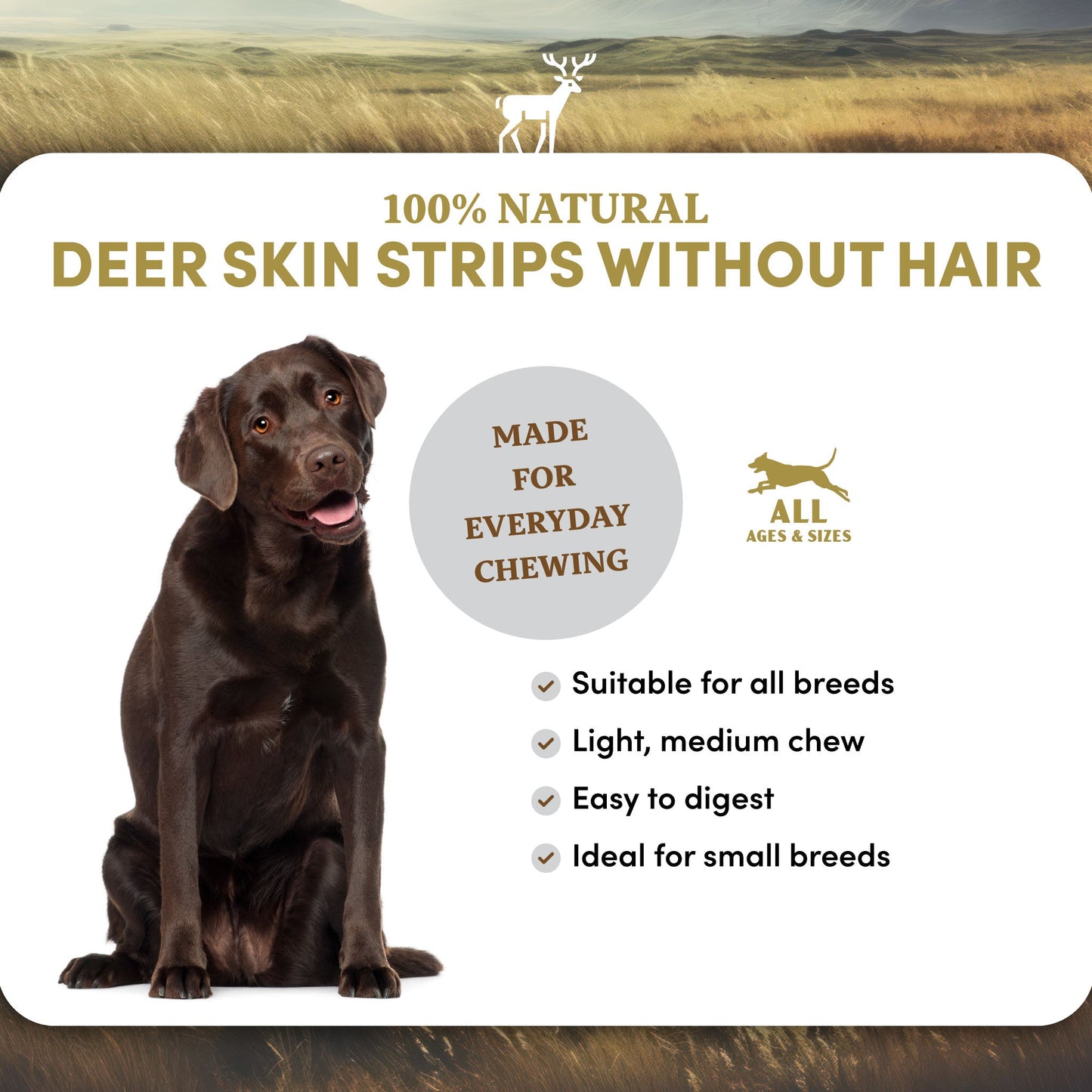 Deer Skin Strips - Dog Treats