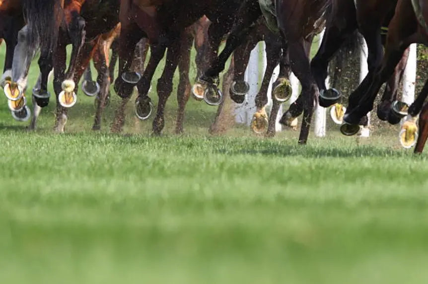 Tvati Equine