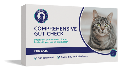 Comprehensive Gut Check for Cats