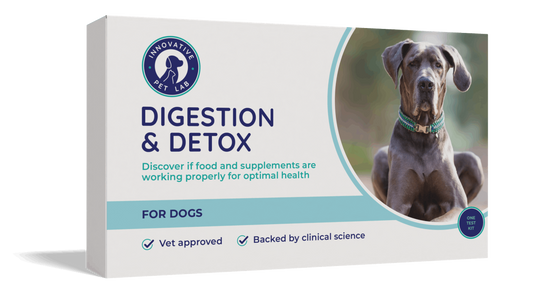 Digestion & Detox